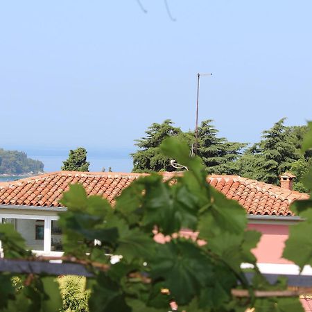 Apartments Horizont 罗维尼 外观 照片